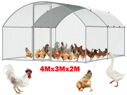 Outdoor Chicken Coop