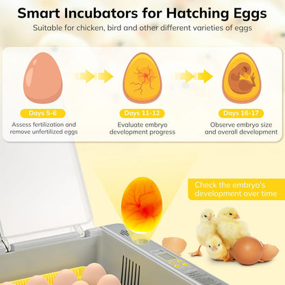 Egg Incubator Hatcher