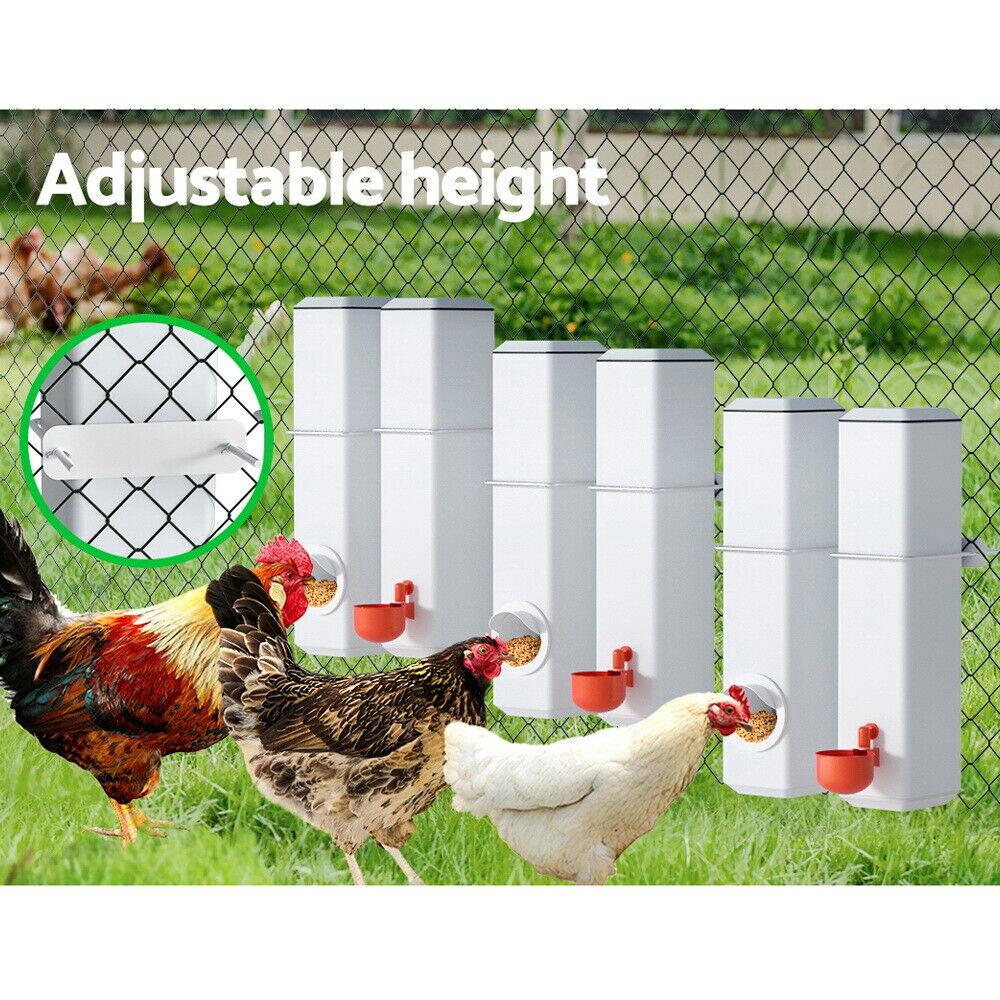 Automatic Chicken Feeder