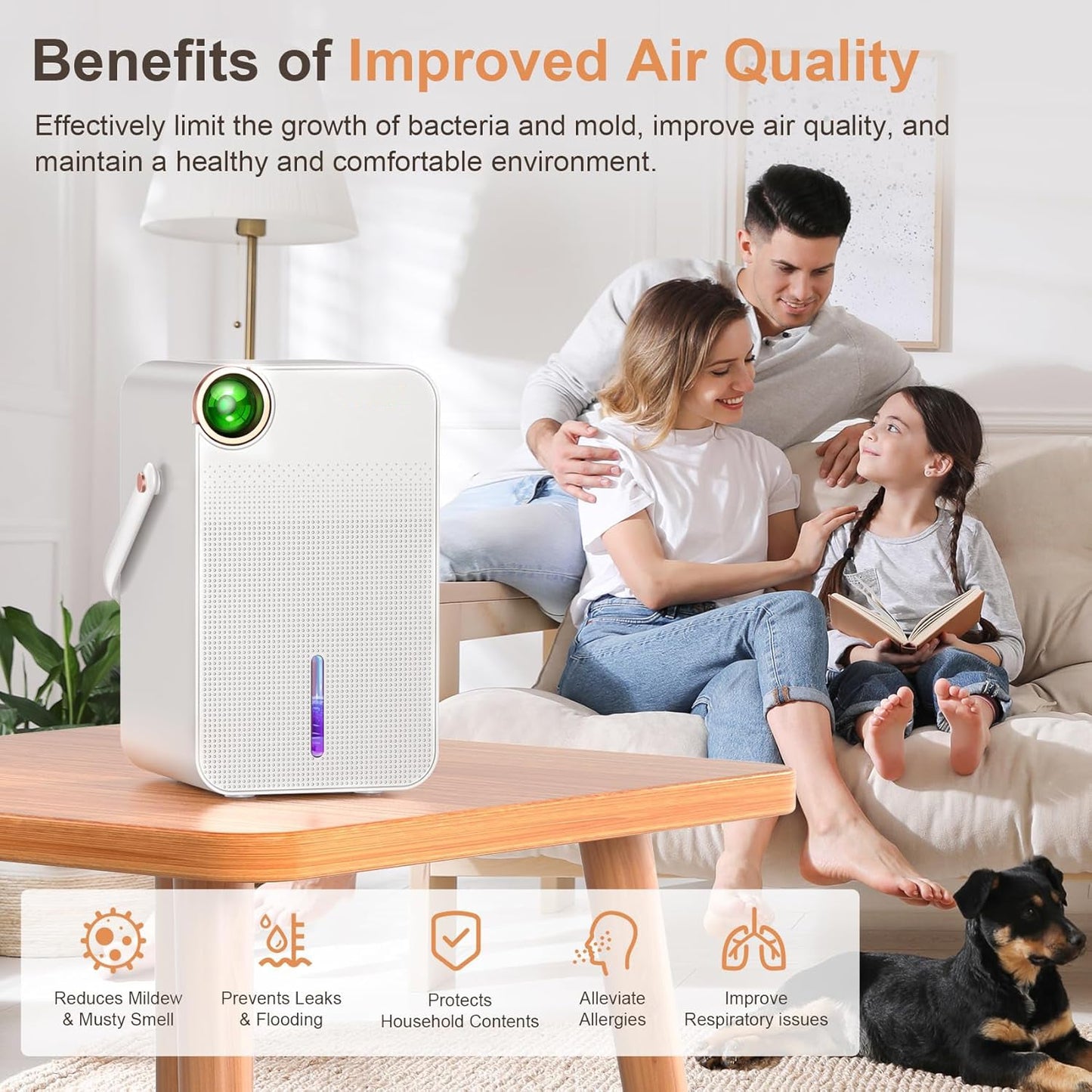 Dehumidifier 1000ml Portable