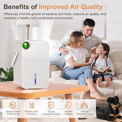 Dehumidifier 1000ml Portable