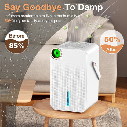 Dehumidifier 1000ml Portable