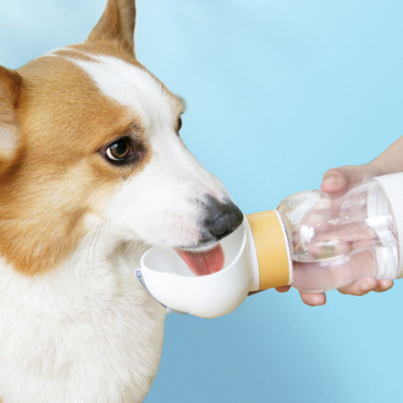 Pet Water Bottle Dispenser with Food Container Leak Proof Pet Drinking Bottle P
