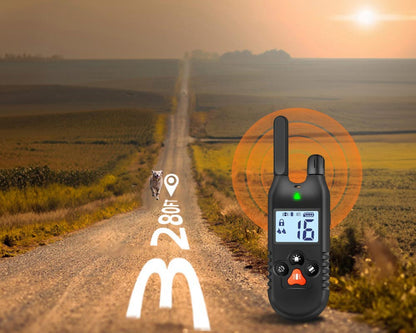 Dog Training Collar with LED Light