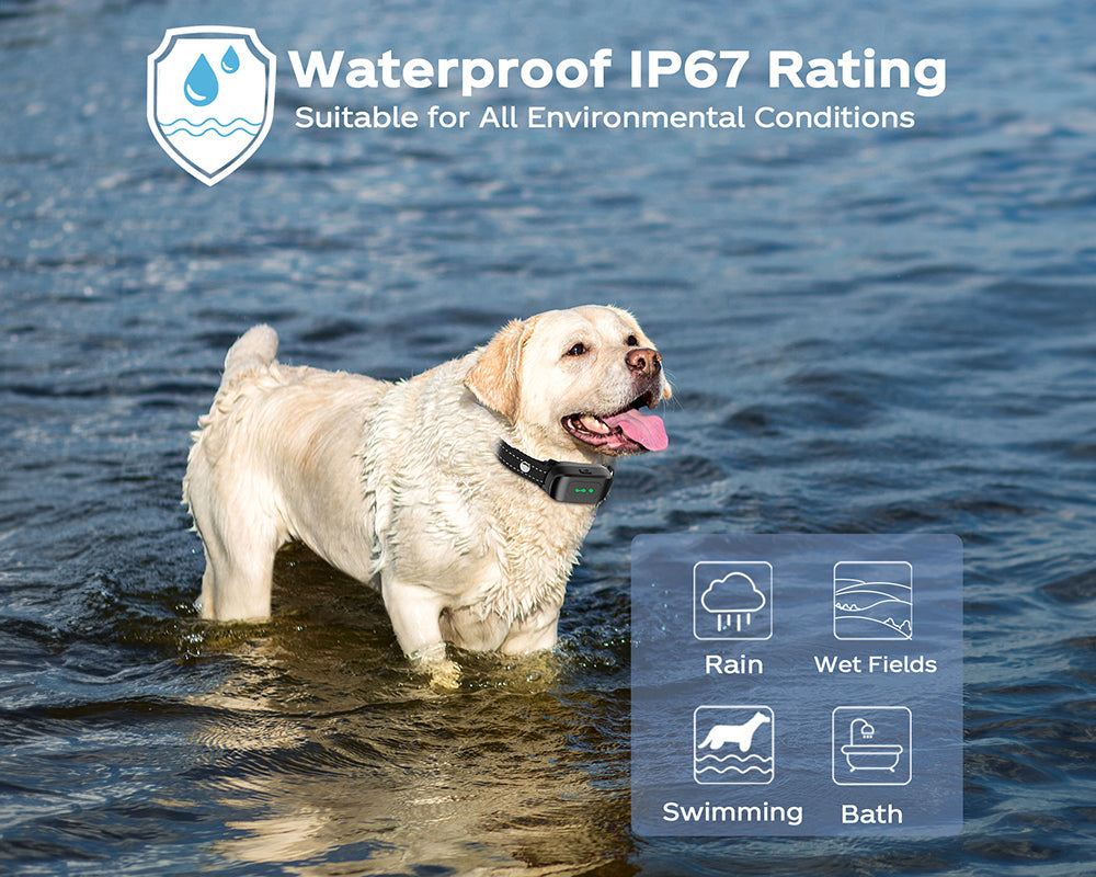 Vibrating Dog Collar No Shock