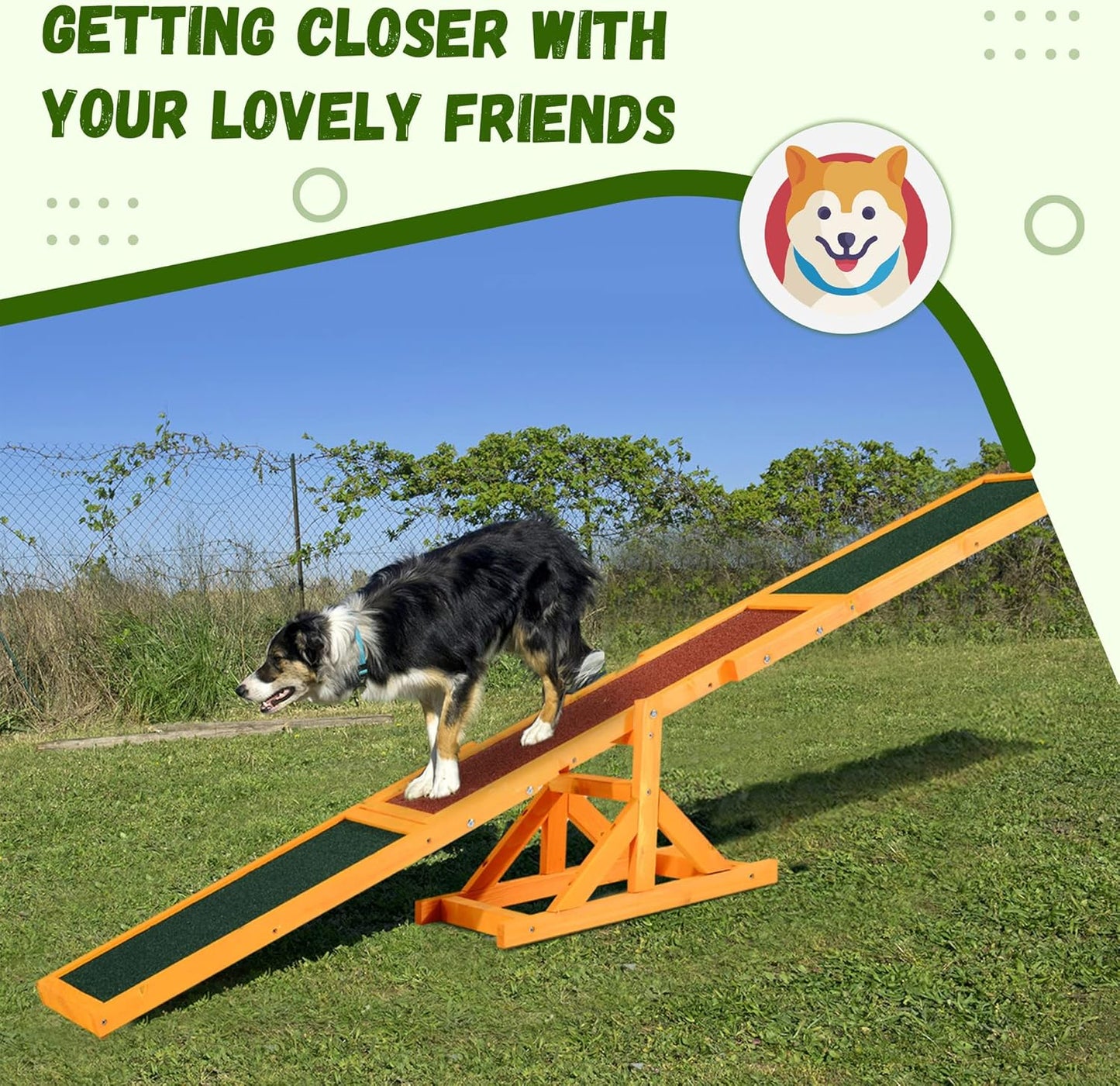 Dog Agility Equipment Seesaw