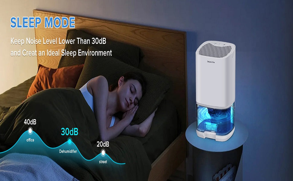 Mini Dehumidifier Portable