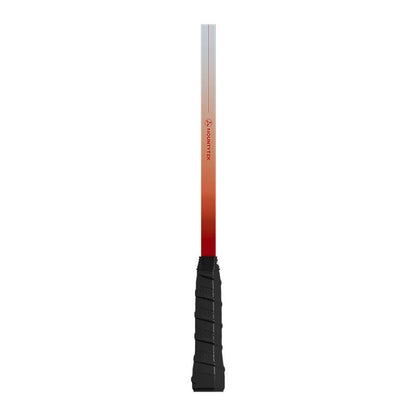 Mobie T700 Carbon Fiber Pickleball Paddle Set 2 Pack with 2 Balls