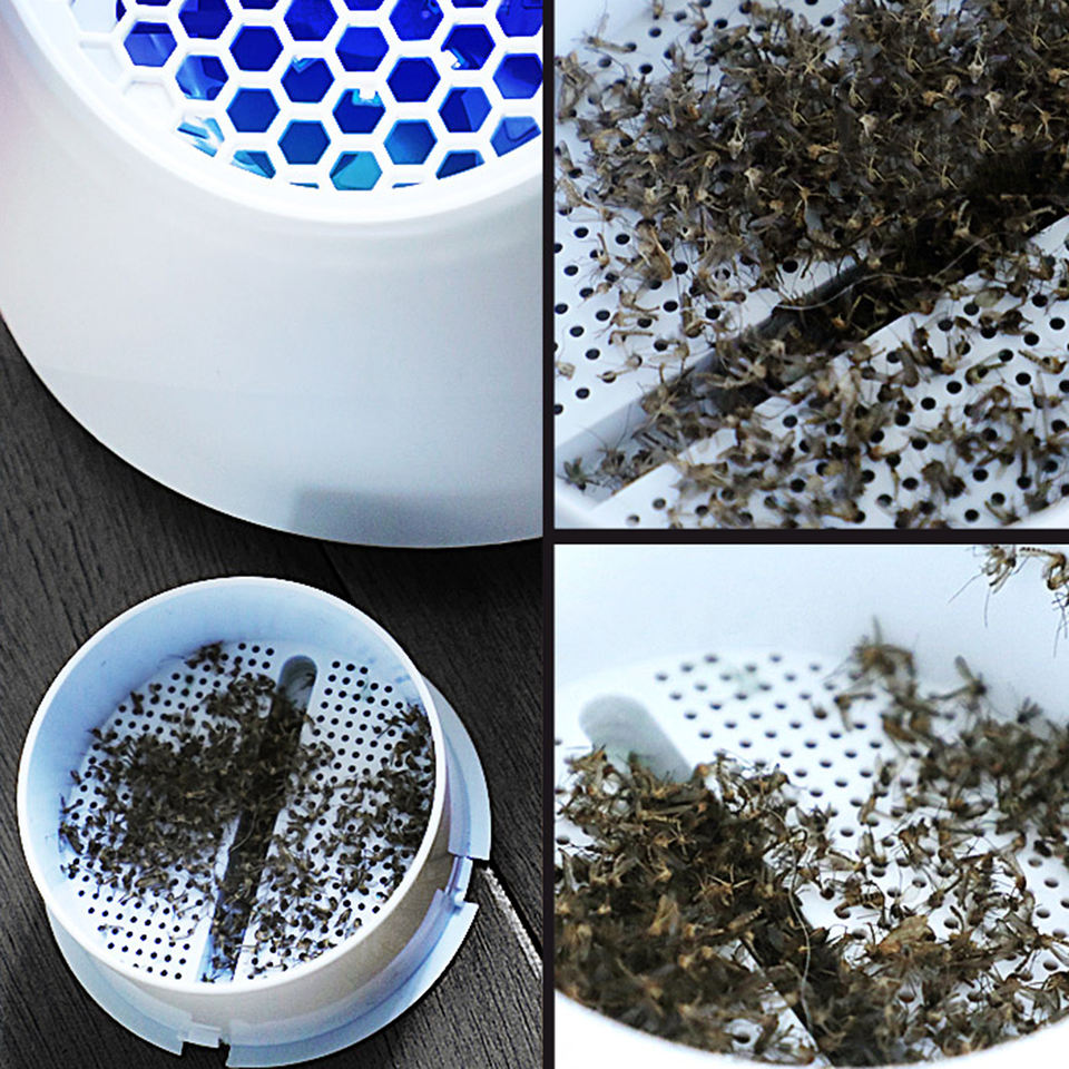 Indoor Mosquito Teminator Lamp - Black