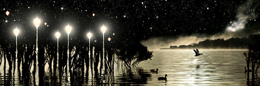 Poster - Lake Wanaka At Night