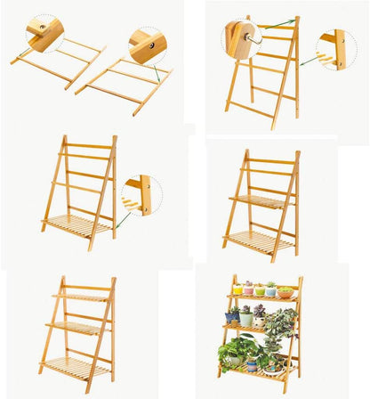 Indoor plant display rack