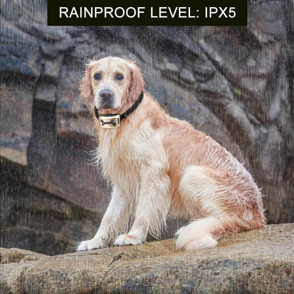 Dog Barking Control Dog Bark Collar Anti Bark