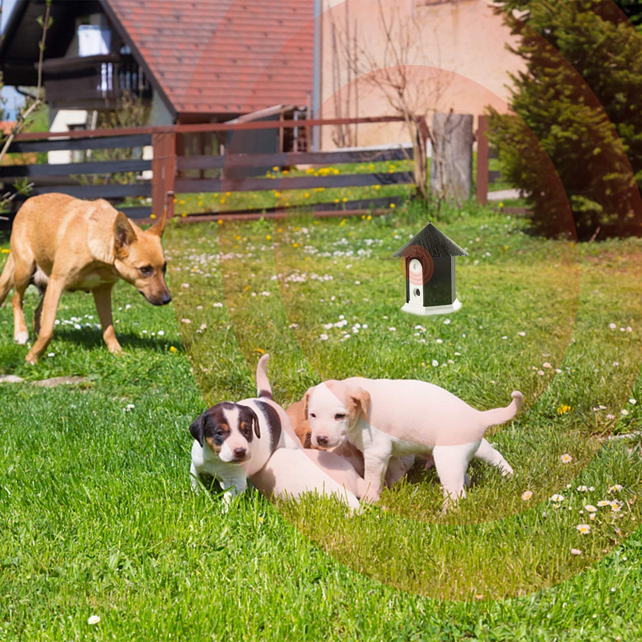 Ultrasonic Dog Bark Control System Anti Barking