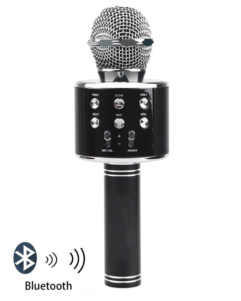 Portable handheld mic