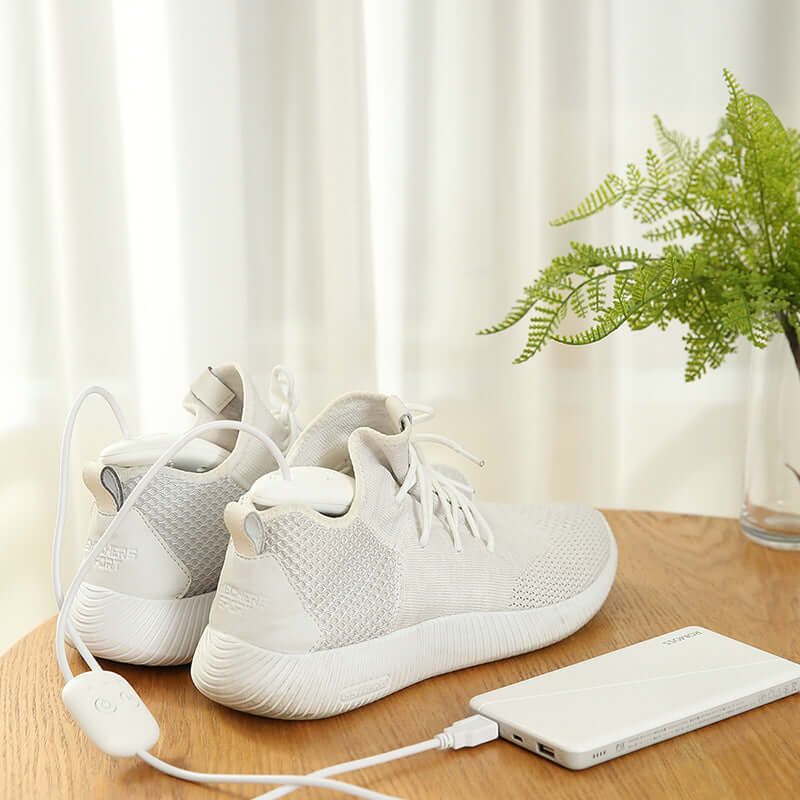 Shoe deodorizer dryer