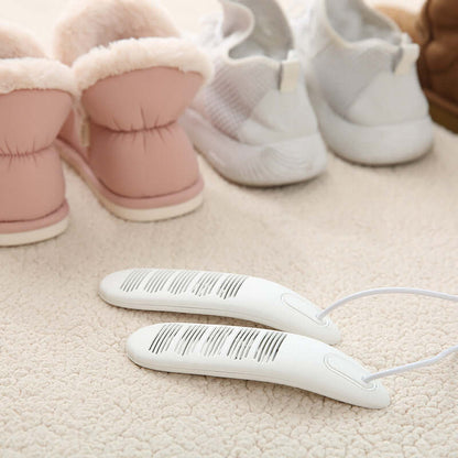 Shoe dryer with timer