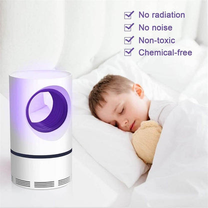violet light attracts mosquitoes
