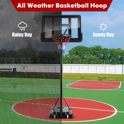 Basketball Hoop with stand height adjustable Hoop 3.05m