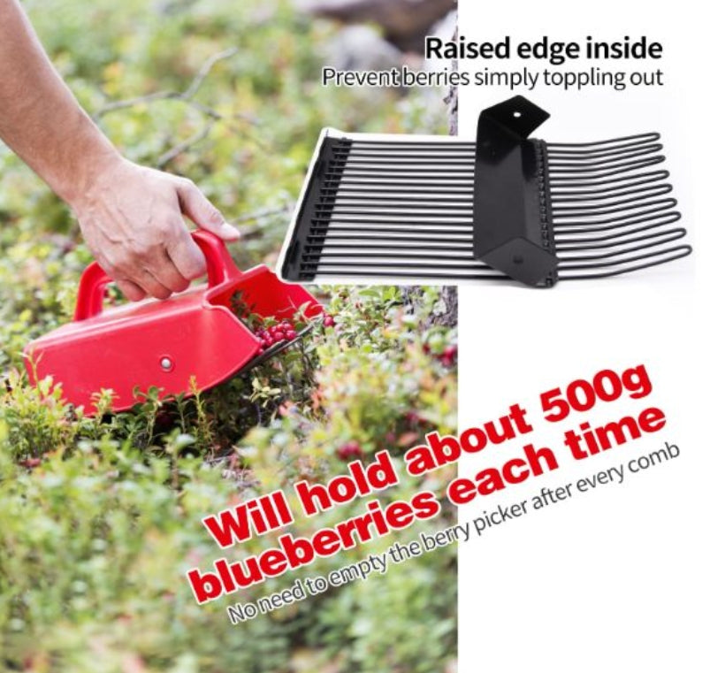 Berry Picker with Metallic Comb and Ergonomic Handle