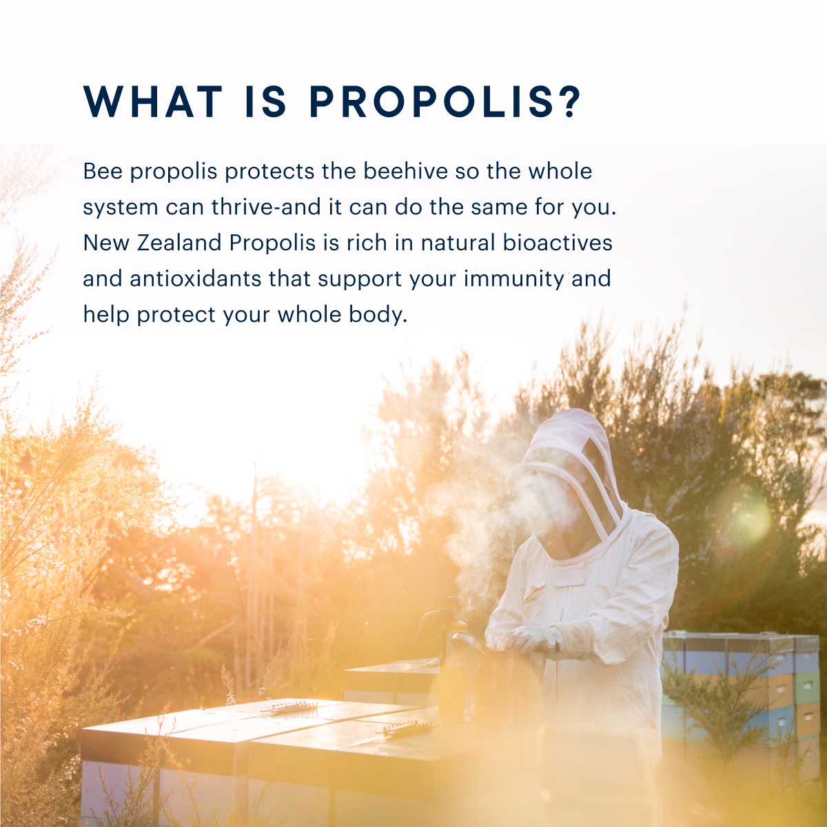 BIO30 Propolis Capsules