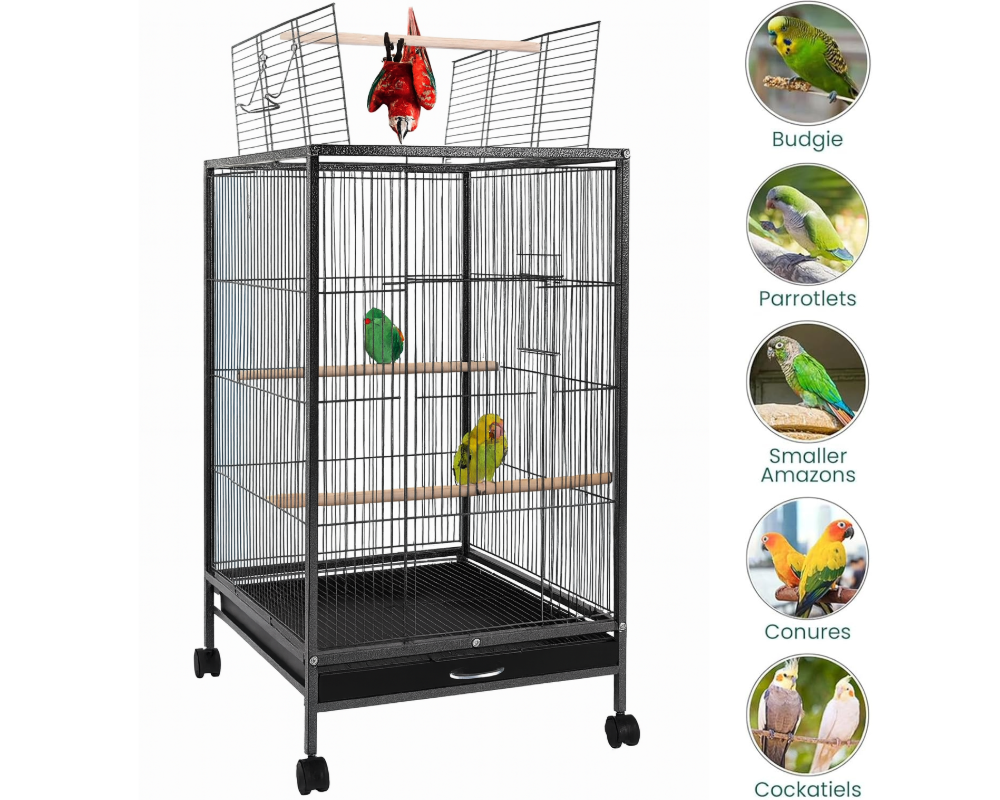 Bird Cage Parrot Aviary Perch Carrier