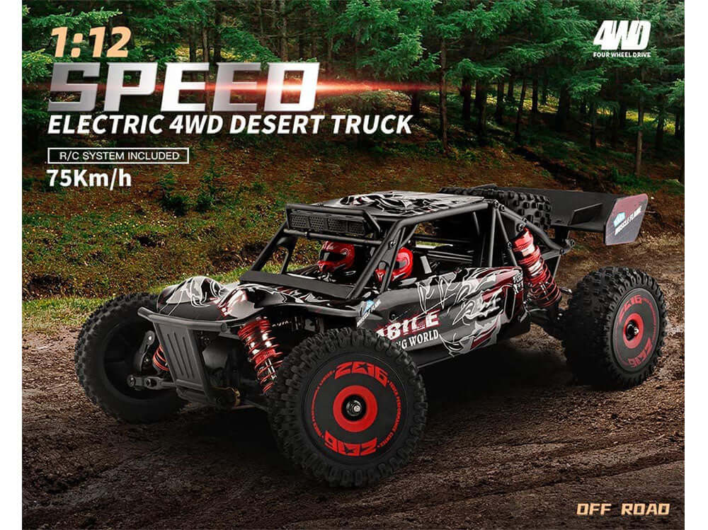 RC car rear view