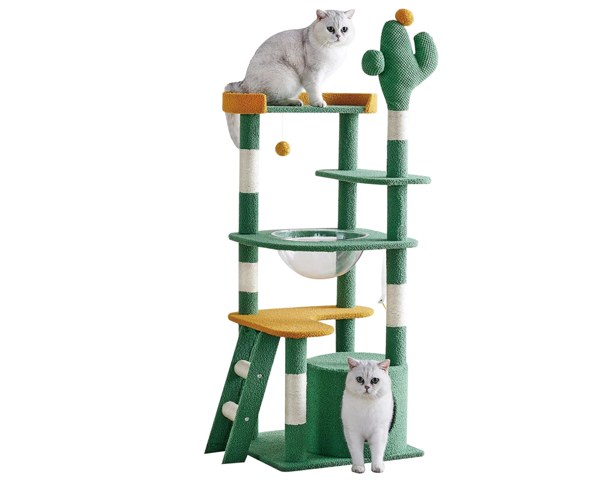Cat Tree House Cat Tree