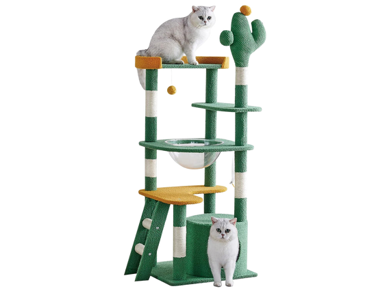 Cat Tree House Cat Tree