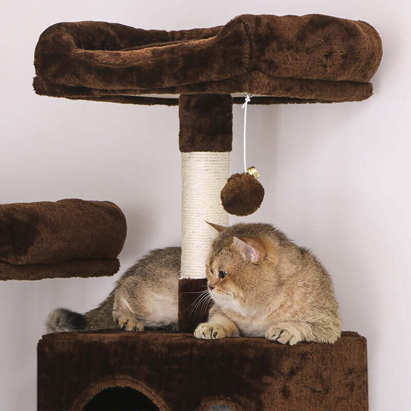 Cat Tree House with Scratching Posts Hammock - The Shopsite