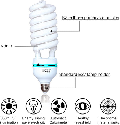 Softbox Lighting Kit Professional Photography Light Studio Kits