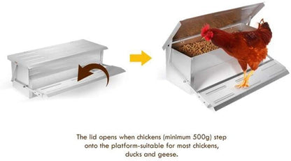 treadle chicken feeder system