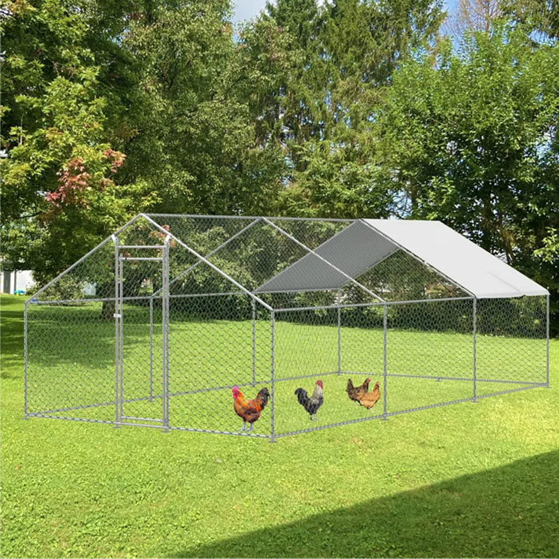 Chicken Coop Run 6M x 3M x 2M