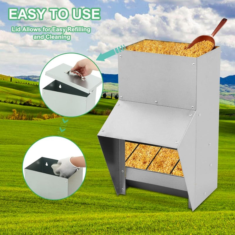 wall mounted chicken feeder