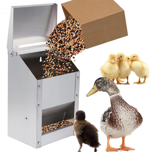 metal chicken feeder with lid