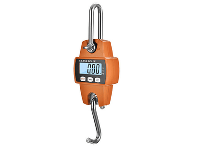 portable 300kg scale