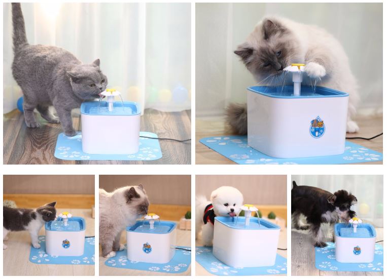 Pet water Drinking Fountain