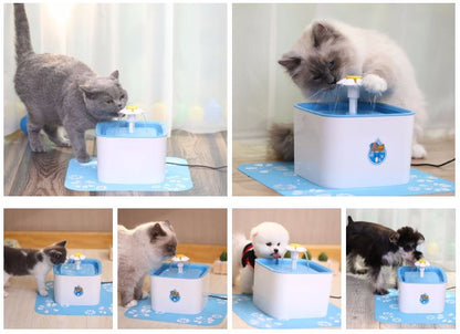Pet water Drinking Fountain