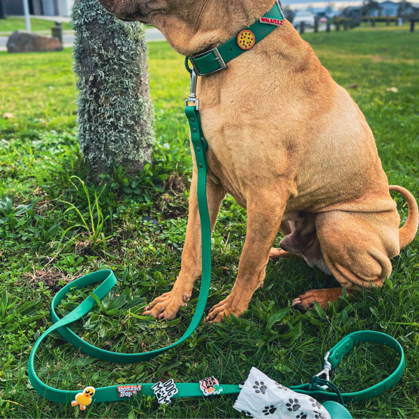 Waterproof Customisable Dog Collar | Green