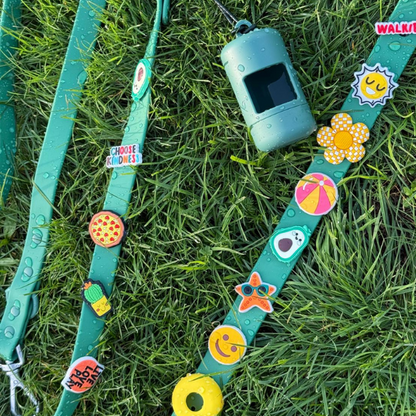 Waterproof Customisable Dog Collar | Green