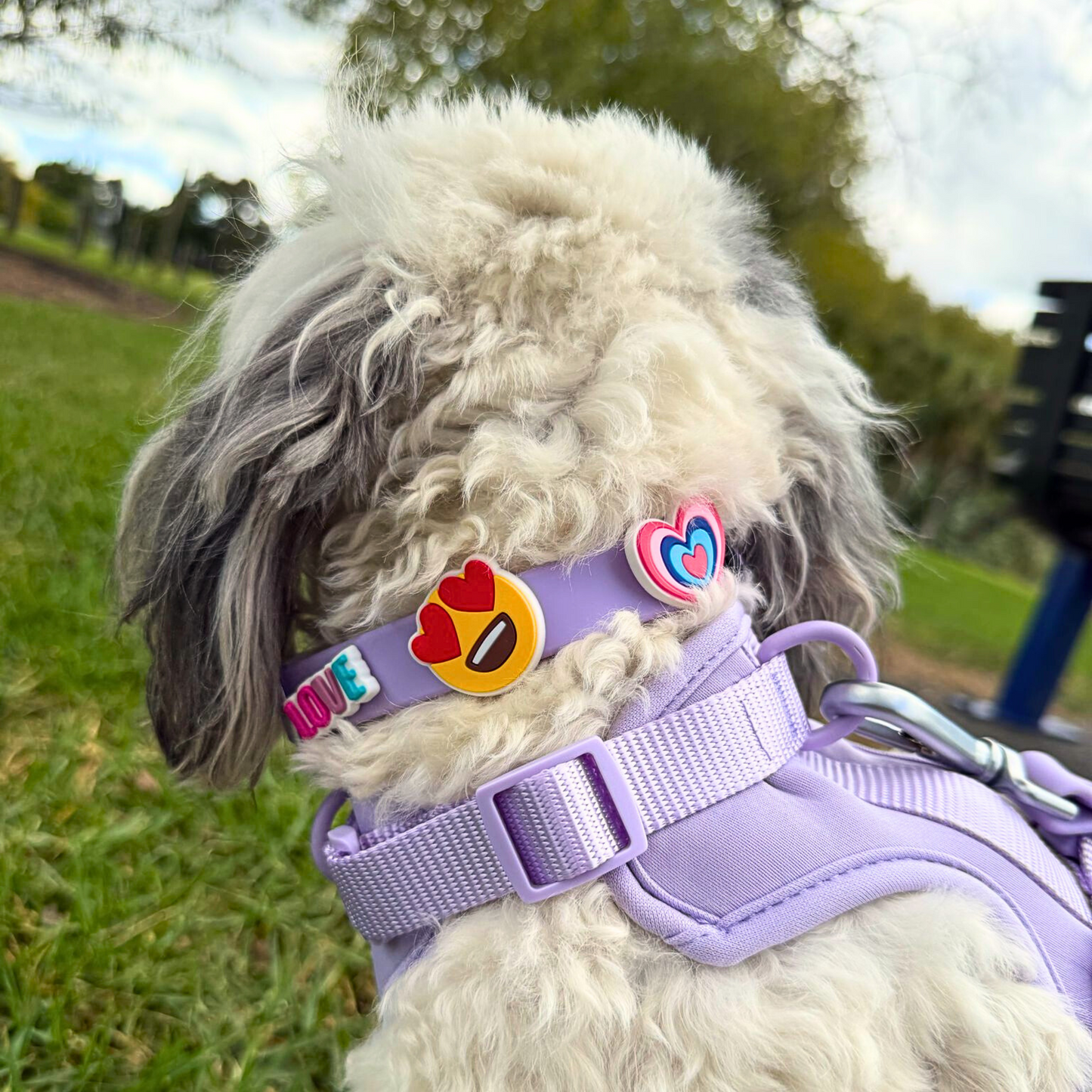 Waterproof Customisable Dog Collar | Lilac
