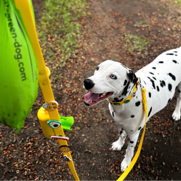 Dog Poop Bag Holder | Yellow
