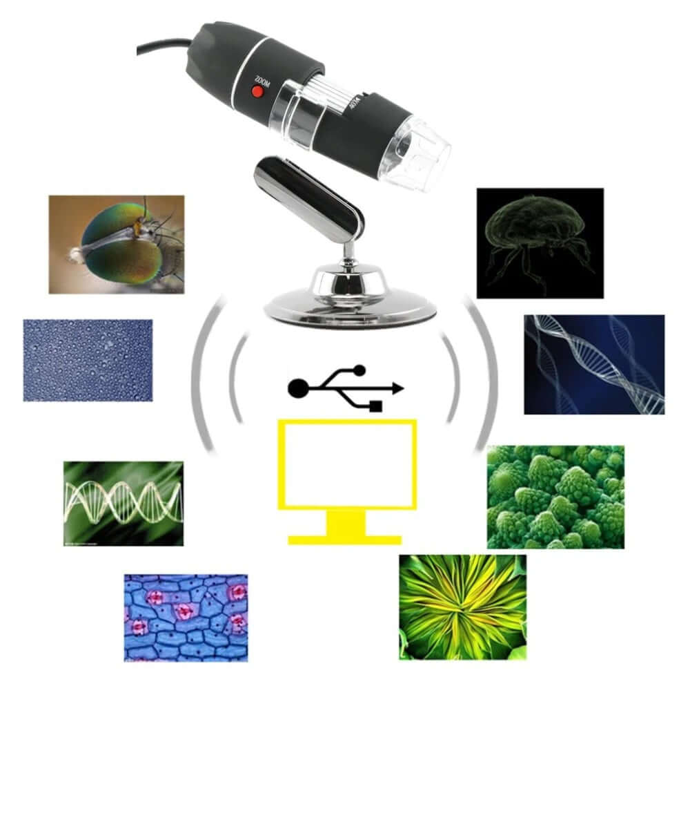 microscope with LED lights