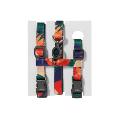 PIDAN Cat Leash & Harness