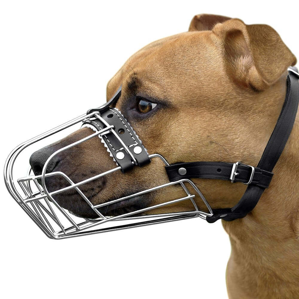 Dog Muzzle Wire Basket Amstaff Pit Bull Metal Mask Adjustable Leather Straps