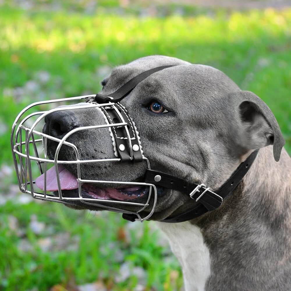 Dog Muzzle Wire Basket Amstaff Pit Bull Metal Mask Adjustable Leather Straps