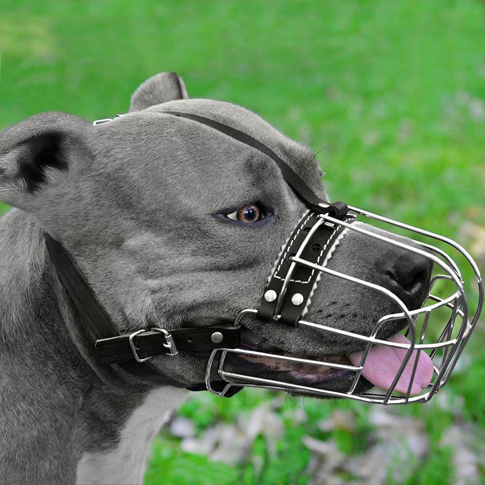 Dog Muzzle Wire Basket Amstaff Pit Bull Metal Mask Adjustable Leather Straps