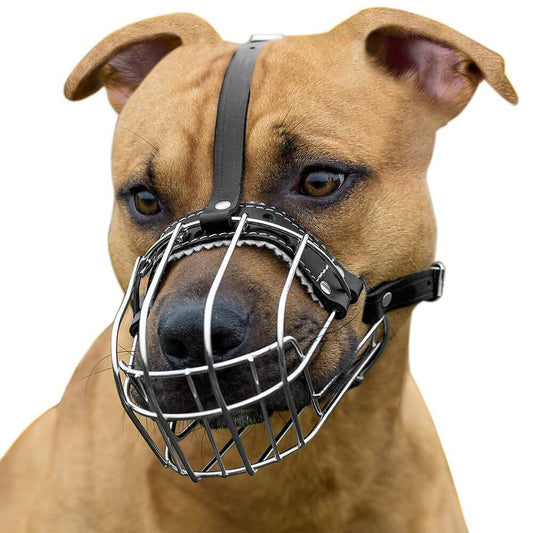 wire basket dog muzzle