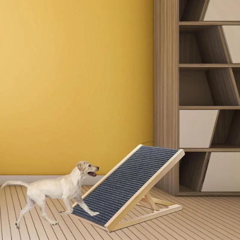 dog ramp for cats and dogs