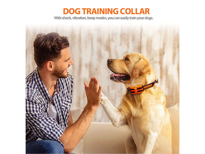 Dog Training Collar Rechargeable - The Shopsite