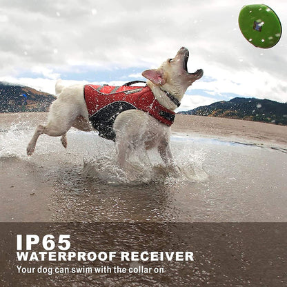 Rechargeable Anti Barking Training Collar